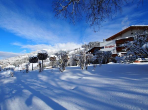 Гостиница Sport-Wellnesshotel Bichlhof, Кицбюэль